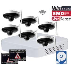 Dahua D20 WLAN Videoüberwachungsset 6x PTZ Dome Kamera 4MP + NVR 8 Kanal + 2 TB Festplatte 