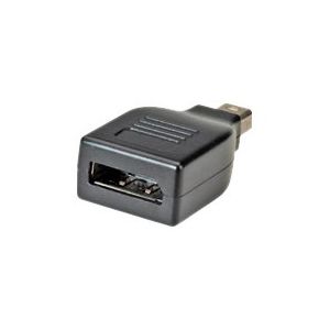 Roline - DisplayPort-Adapter - DisplayPort (W) bis Mini DisplayPort (M) - Schwarz