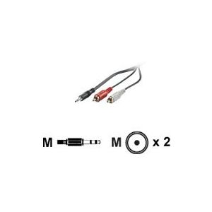 VALUE - Audiokabel - stereo mini jack (M) bis RCA (M) - 5 m - Schwarz