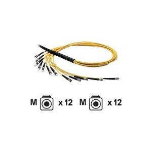 VALUE 12G - Netzwerkkabel - LC Multi-Mode (M) bis LC Multi-Mode (M) - 1 m - Glasfaser - 50/125 Mikrometer