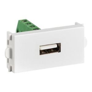 VALUE A/V Modules - Modulare Eingabe - USB Type A - weiß (Packung mit 20)