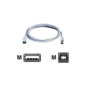 VALUE - USB-Kabel - USB (M) bis USB Type B (M) - USB 2.0 - 3 m - Grau