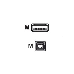 Roline - USB-Kabel - USB (M) bis USB Type B (M) - USB 2.0 - 1.8 m