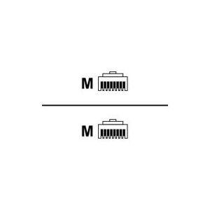 Roline - Patch-Kabel - RJ-45 (M) bis RJ-45 (M) - 50 cm - SFTP - CAT 6